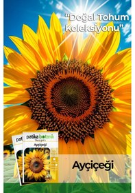 Resim Patika Botanik 75 Adet Çerezlik Ayçiçeği Tohumu 