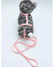 Resim Kedi Düz Göğüs Tasması Ve Gezdirme Seti Ps9642 