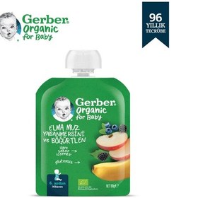 Resim Gerber Organik Muzlu Yaban Mersinli Böğürtlenli Elma Püresi 90 G 