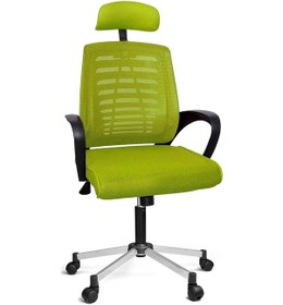 Resim Türksit Karizma File Müdür Koltuk Metalik Gri Boyalı Ayak Yeşil 