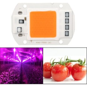 Resim Genel Markalar Bitki Gelişimi Bitki Yetiştirme Ledi 220v 50w Projektör Full Spectrum Aydınlatma Grow Light 