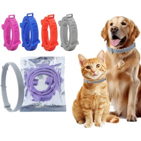 Resim Ayarlanabilir Nefes Alabilen Evcil Hayvan Yaka - Dayanıklı TPU Boyun Koruması Köpekler ve Kediler için, Yürüyüş ve Günlük Kullanım için Uygun Güvenlik Halkası, Evcil Hayvan Sahipleri için Unisex Tasarım, Köpek Yaka, Evcil Hayvan Güvenlik Ekipmanı, Şık Boyun, Esnek Koruma 