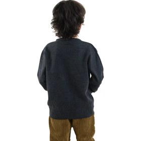 Resim Denokids Hayvanlar Desenli Erkek Çocuk Triko Kazak Antrasit Renk Bisiklet Yaka 