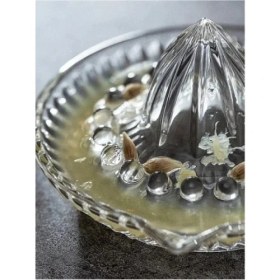 Resim K-Yonlineticaret Cam Limon Sıkacağı 