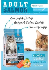 Resim Pro Performance Premium Yetişkin Somonlu Portakallı Yetişkin Kedi Maması 2 KG 
