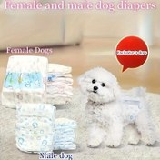 Resim Köpek Bezi Güvenlik Pantolonları Hijyenik Pantolonlar Erkek Köpek Dişi Köpek Bezi 