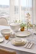 Resim Aryıldız Glamour 60 Parça Porselen Yemek Takımı AR259788 