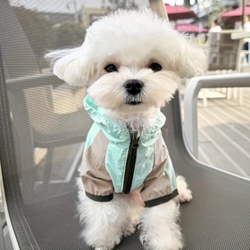 Resim Küçük ve Orta Irklar İçin Hafif, Su Geçirmez ve Güneşe Dayanıklı Evcil Köpek Yağmurluğu 