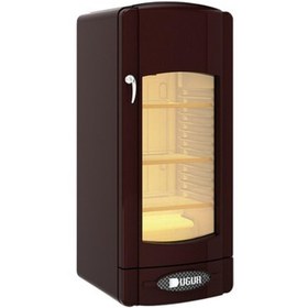Resim Uğur USS 220 DTKG A+ 215 lt Şişe Soğutucu 