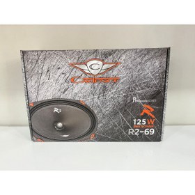 Resim Cadence R2-69 OVAL MİDRANGE KURŞUN GÖBEK 125 RMS PRO SERİ 