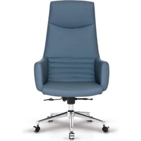 Resim Dora Müdür Koltuğu 