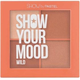 Resim Pastel Show Your Mood Blush Set No:441 Wild 