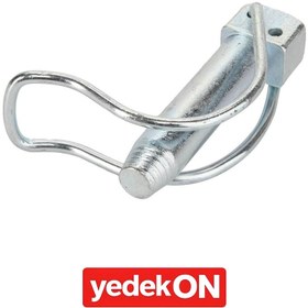 Resim AGCO Pim - Massey Ferguson / Fendt / Valtra | ACP0497920 