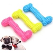 Resim Kemik Şeklinde Köpek Diş Kaşıma Oyuncağı 