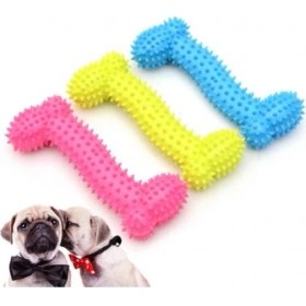 Resim Kemik Şeklinde Köpek Diş Kaşıma Oyuncağı 