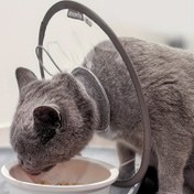 Resim Ayarlanabilir Kedi İyileşme Yelekasi – Feline Sağlığı ve İyileşmesi için Yumuşak PVC Koni, Kediler için Şeffaf Elizabeth Dönemi Koruyucu Boyun Yelekasi 