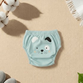 Resim Kidslar® Tuvalet Alıştırma Külodu - S - 11-14 kg / Erkek Seti - (Turkuaz - Mavi - Beyaz) 