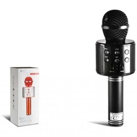 Resim pazariz Pl-2462 Fm Li Karaoke Mikrofon Kablosuz 