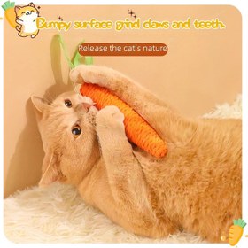 Resim Ses Çıkaran Havuçlu Eğlenceli Kedi Oyuncağı - Isırmaya Dayanıklı Sisal, Yavru ve Yetişkin Kediler İçin Dayanıklı Evcil Hayvan Oyuncağı, Kendinden Eğlence ve Tırnak Törpüleme, Bataryasız 