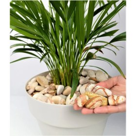 Resim Sarı Çizgili Dolomit 5 Kg, 2-4 Cm, Bahçe, Dere, Akvaryum, Çakıl Taşı 