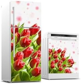 Resim Buzdolabı Ve Bulaşık Makinesi Takım Sticker 0094 