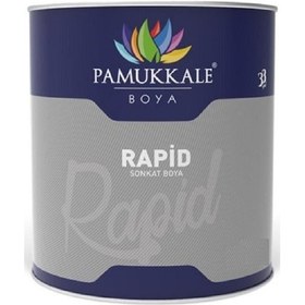 Resim Pamukkale 1402 Rapid Boya 5 Kg Antrasit Gri Ral 7016 