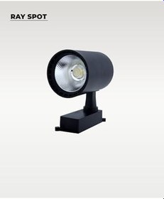 Resim 30W Siyah Ray Spot 4000K (Gün Işığı) 