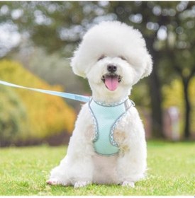 Resim Açık Mavi 1 Takım Evcil Hayvan Koşumu Örgü Tasarım Toka Ayarı Yürüyüş Yumuşak Nefes Ya Geçirmez Köpek Köpek Göğüs Tasması 55792519 Açık Mavi 