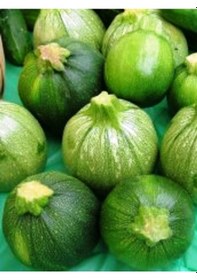 Resim Doğal Topak Kara Kabak Tohumu Karatopak 20 Ad Tohum 