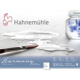 Resim Hahnemühle Harmony Sulu Boya Blok 300G 12 Yp Rough Grain 30X40 