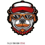 Resim Motorsiklet Otomobil Sticker 2 Adet 063 