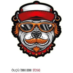Resim Motorsiklet Otomobil Sticker 2 Adet 063 