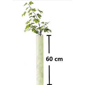 Resim Fidan Fide Bitki Ağaç Koruma Tüpü Koruyucu Kap Kılıf 5 li 60 CM - Mikrosera Tubex Fruitwrap 