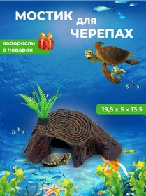 Resim Super Zoo Kaplumbağa Ve Kertenkeleler İçin Köprü 297455189 