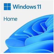 Resim Windows OEM 11 Home 64Bit Türkçe 