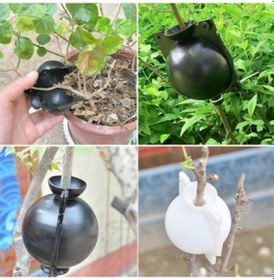 Resim Bitki Köklendirme Aparatı Plastik Top Fide Kök Saldı . 