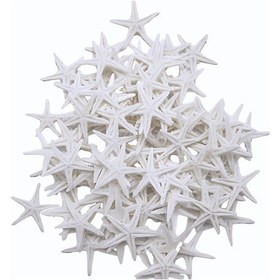 Resim Polyester Deniz Yıldızı Minik Boy 0.5 Cm- 1.5 Cm 100 Adet Beyaz 