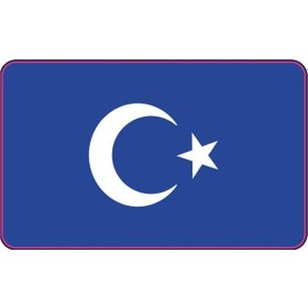 Resim Sevenkardeşler Cg Şeffaf Mavi Bayrak Far Filmi 