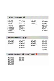 Resim EYM Hands Lift Ayarlı Frenli Kalkar Kapak Makası Piston Standart 