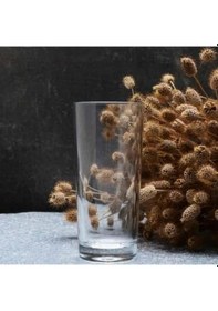 Resim Rakı Bardağı Limonata Bardağı 6 Lı 175 Cc 