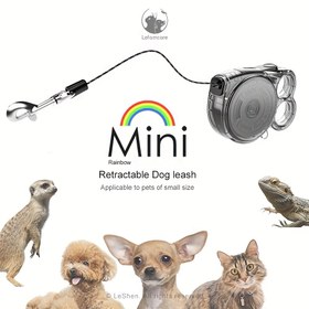Resim 10ft Tek Düğme Kilidi ile Geri Çekilebilir Köpek Tasma - Dayanıklı ABS, Hafif ve Yansıtıcı Naylon Halat Küçük Köpekler ve Kediler için, Otomatik Geri Çekme, 3m Uzunluk, Evcil Hayvanları Yürütmek İçin İdeal, Evcil Hayvan Tasma | Geri Çekilebilir Tasma | Dayanıklı ABS Tasma 