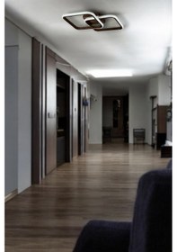 Resim Kira Kahve Rengi Salon Mutfak Hol Beyaz Led 2 Li Avize Kahve Rengi 