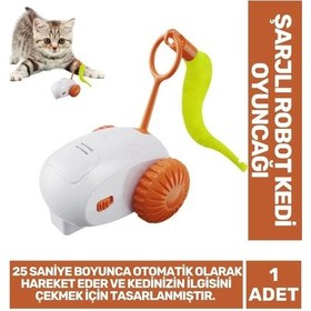 Resim Özel Üretim İnteraktif Hafif Oyun Açma Kapama Düğmeli Dayanıklı Usb Şarjlı Robot Kedi Oyuncağı 