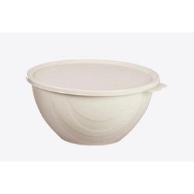 Resim Geseus Moon Star Elegance Kapaklı Yoğurt Mayalama Kabı Yemek Saklama Kabı 2,5litre-rbk-312 