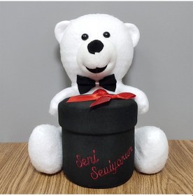 Resim Seni Seviyorum Kutulu Oturan Peluş Ayıcık 28 cm 