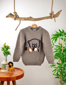 Resim Cloudy Kids Erkek Çocuk Bisiklet Yaka Ayıcık Nakışlı Triko Kazak 