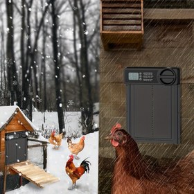 Resim Otomatik Tavuk Kümesi Kapısı Dijital Zamanlayıcı ve Hava Koşullarına Dayanıklı Tasarım ile - Pil Gücüyle Çalışır (36V) Güvenli Hava Kontrolü ve Kolay Erişim için - Küçük Hayvan Malzemeleri Kuş Güvenlik İçin, Su Geçirmez Aksesuar | Dijital Zamanlayıcı Özelliği | Sağlam Yapı 