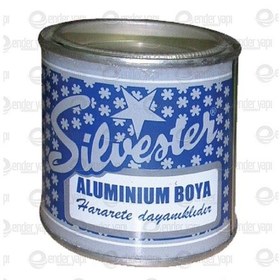 Resim Darsa Silvester Yaldız Boya Altın 1/1 