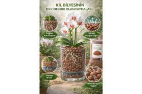 Resim Arkhelais Kil Bilyesi - Orkide Toprağı - Orkide Yetiştirme - Drenaj Taşı - Hidroton - 8-16 mm - 1 L 