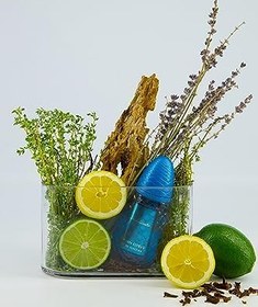 Resim Pino Silvestre Italian Citrus EDT 125 ml Erkek Parfümü 